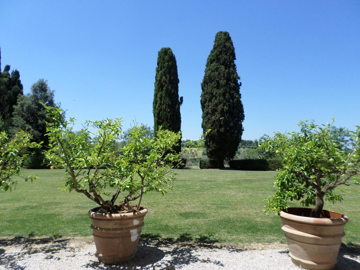 Tenuta Villa Rocchi 토리타디시에나 외부 사진