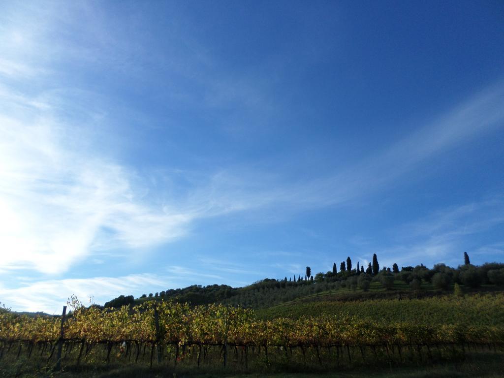 Tenuta Villa Rocchi 토리타디시에나 외부 사진