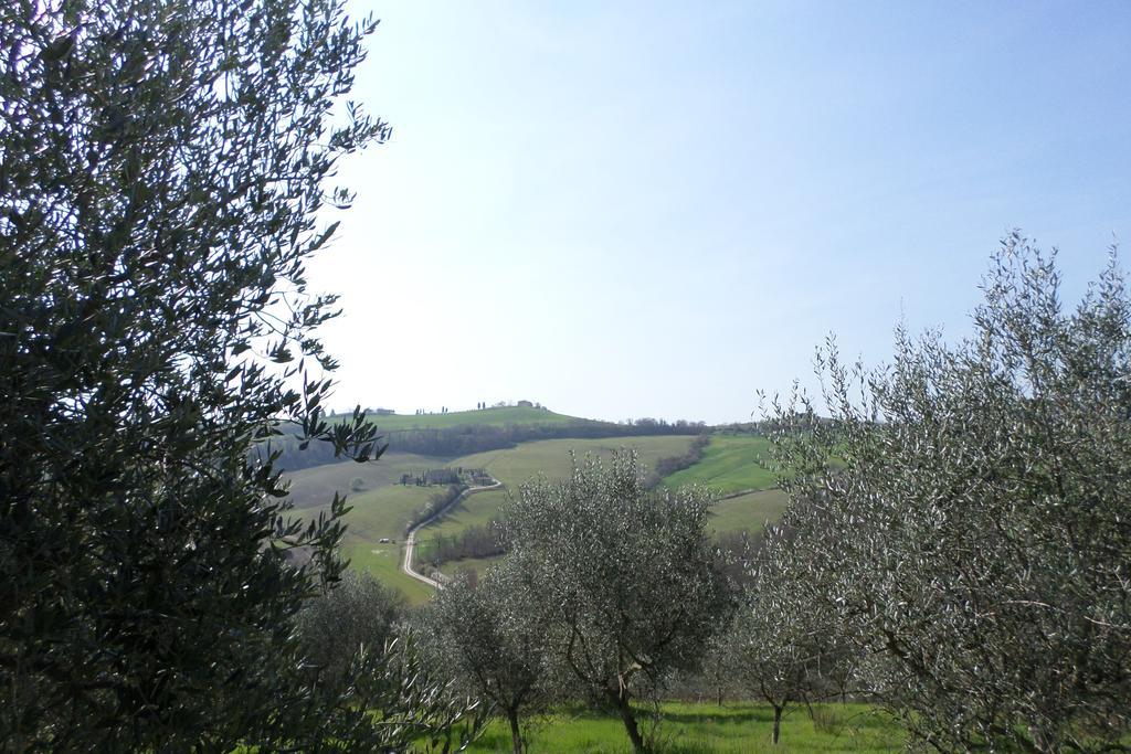 Tenuta Villa Rocchi 토리타디시에나 외부 사진