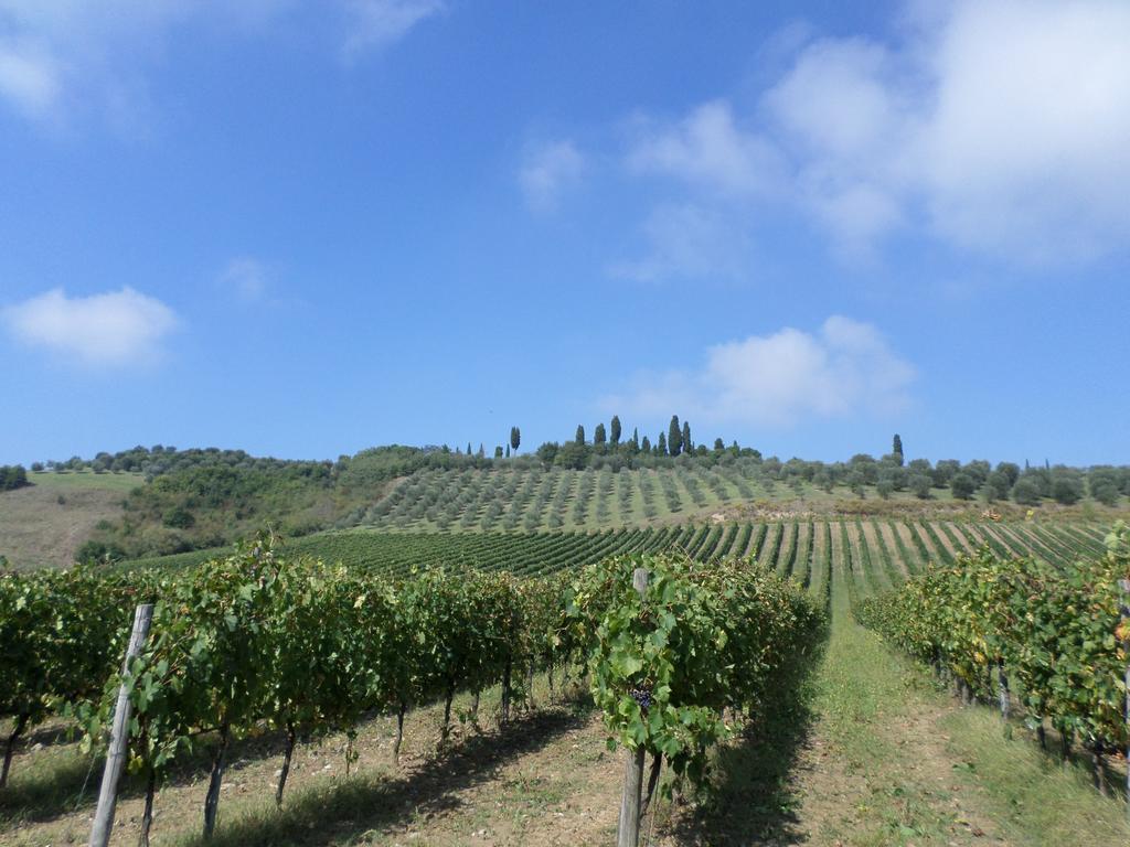 Tenuta Villa Rocchi 토리타디시에나 외부 사진
